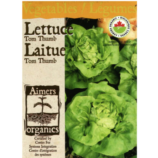 Aimers Organics Lettuce Tom Thumb Pkg.
