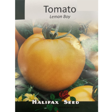 Halifax Seed Tomato Lemon Boy
