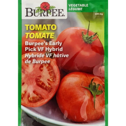 Burpee Seeds Tomato Early Pick/VF Hybrid