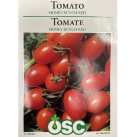 OSC Seeds Tomato Honey Bunch Red