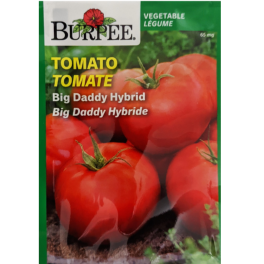 Burpee Seeds Tomato Big Daddy Hybrid
