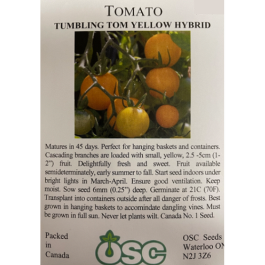 OSC Seeds Tumbling Tom Yellow Hybrid