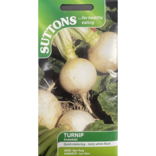 Suttons Seed Turnip Snowball