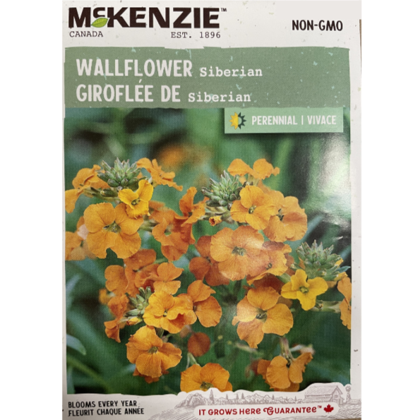 McKenzie Seed Wallflower Siberian Pkg.