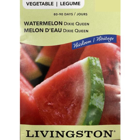 Livingston Seeds Watermelon Dixie Queen Pkg