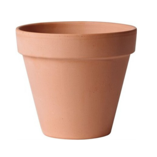 White Clay Standard Pot