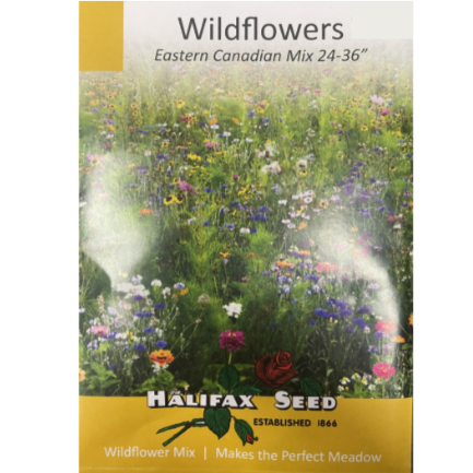 Halifax Seed Wildflowers Eastern Canadian Mix