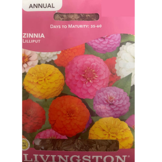 Livingston Seeds Zinnia Lilliput Pkg