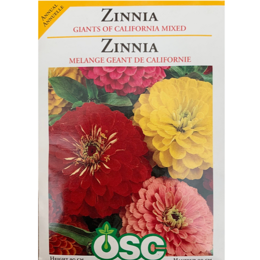 OSC Seeds Zinnia Giants of California Mixed Pkg