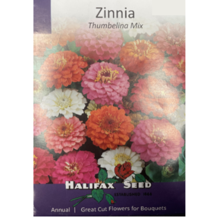 Halifax Seed Zinnia Thumbelina Mix