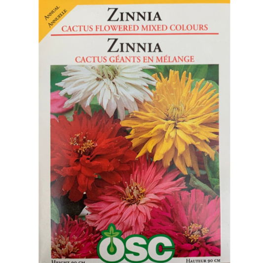 OSC Seeds Zinnia Cactus Flowered Mixed Colours Pkg