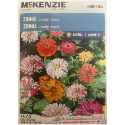 McKenzie Seed Zinnia Candy Cane Pkg