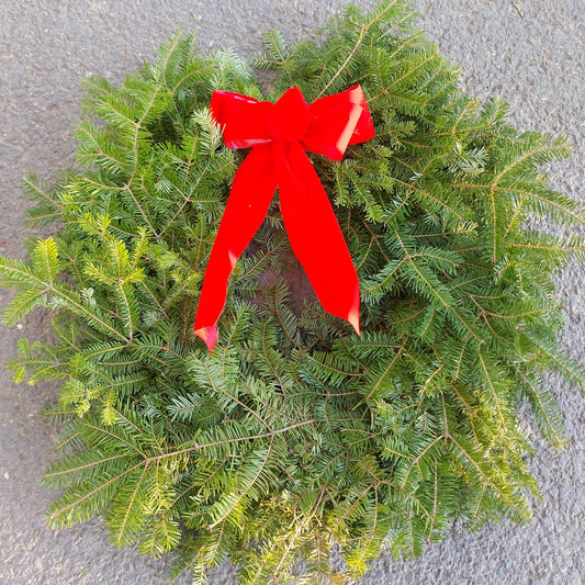 Wreath, 12" Fresh w/Red Veltex Bow (WG)