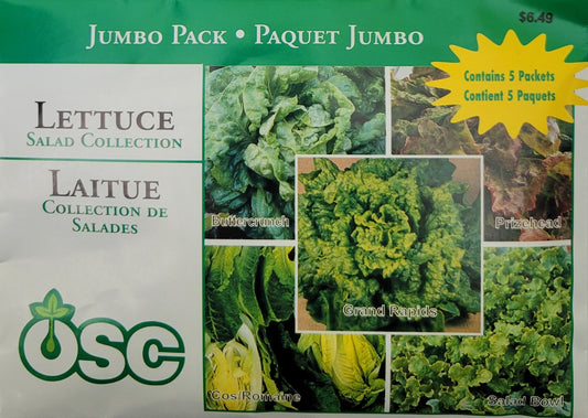 OSC Seed Lettuce Salad Collection Jumbo Pack