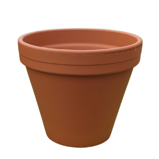 Clay Standard Pot