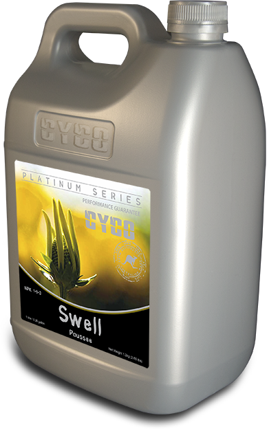Cyco Swell