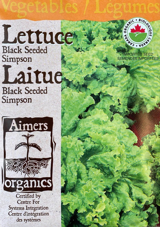 Aimers Organics Lettuce Black Seeded Simpson Pkg.