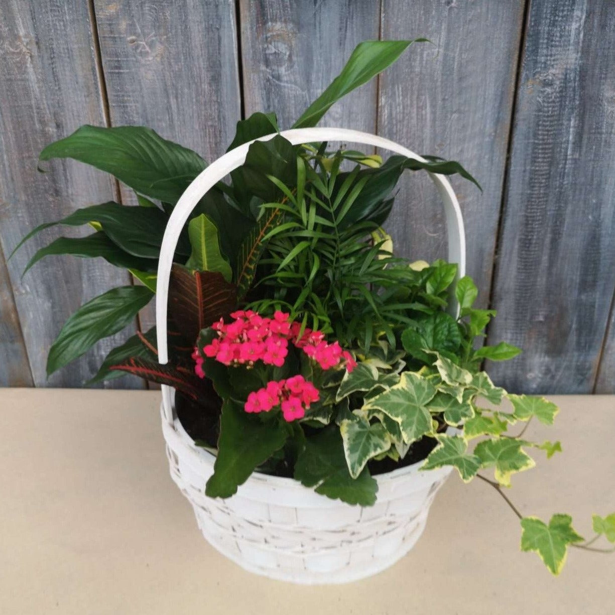 Basket Tropical Garden 10"