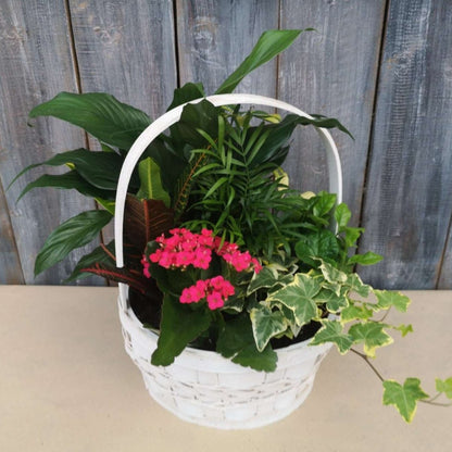 Basket Tropical Garden 10"