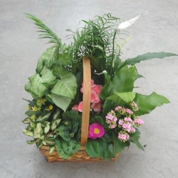 Basket Tropical Garden 10"