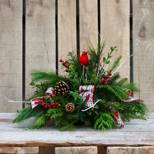 Fresh Greens Centrepiece/Centerpiece - Cardinal w/Cones