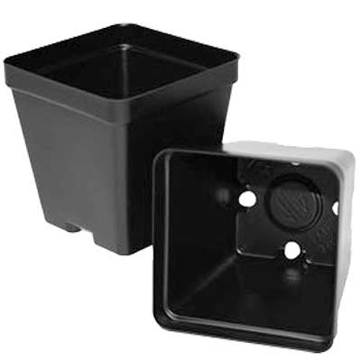 Deep Square Pot