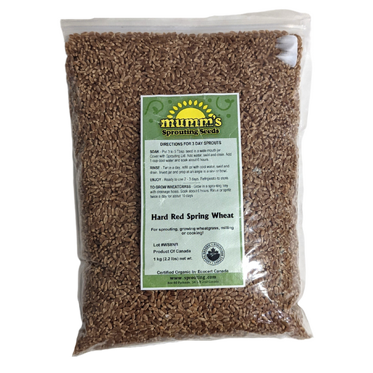 Sprouts Hard Red Spring Wheat