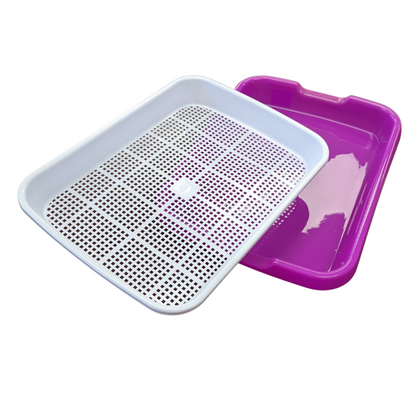 Colourful 2-Piece Sprout Tray
