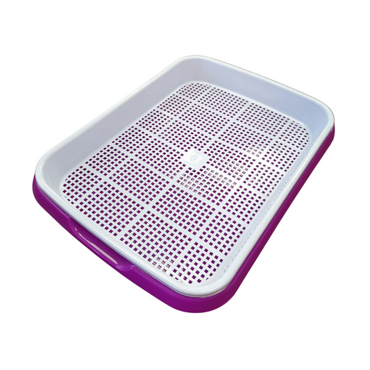 Colourful 2-Piece Sprout Tray