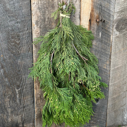 Fresh Cedar Incense Bundle