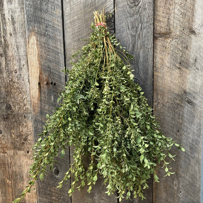 Fresh Oregonia Variegated Bundle