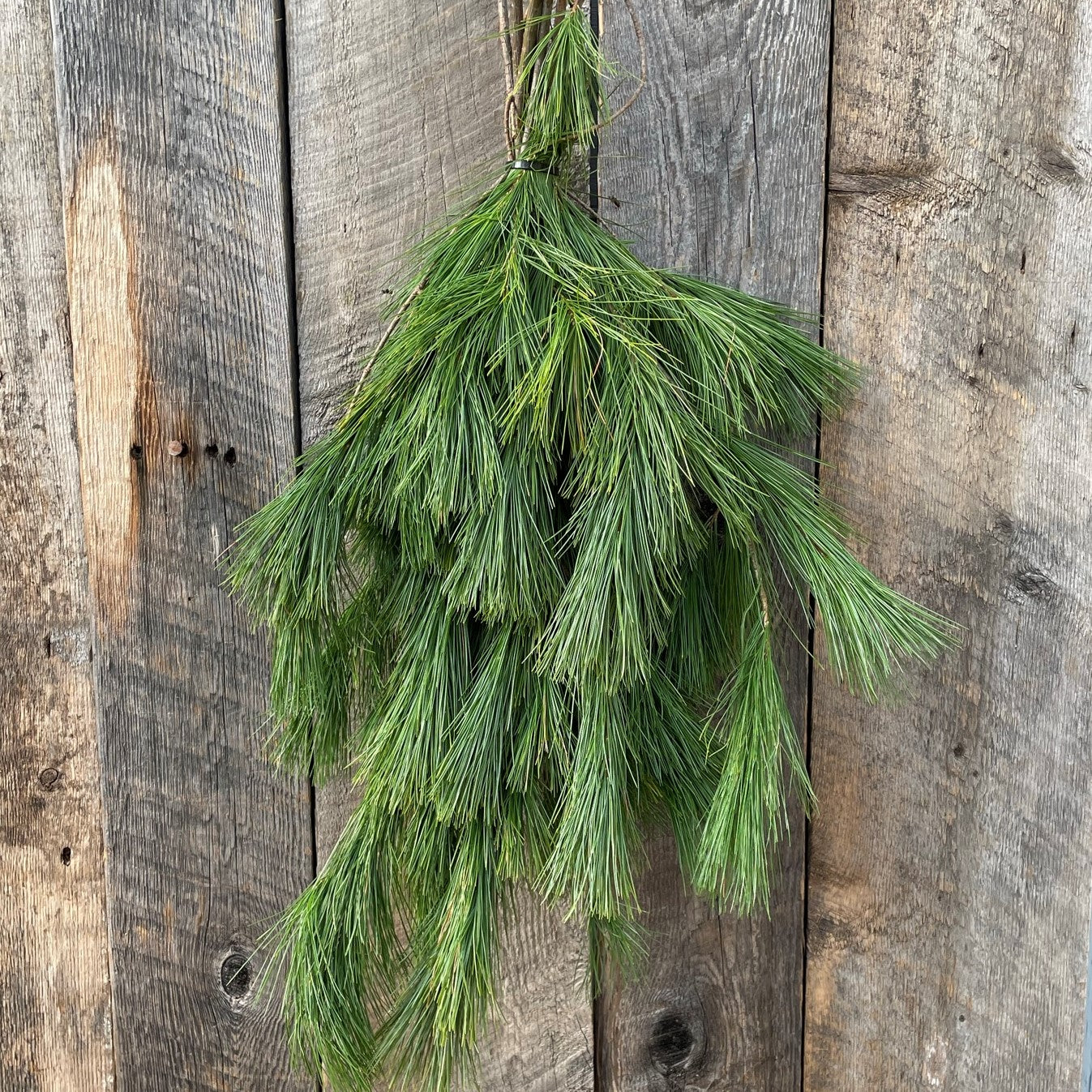 Fresh Pine Local Bundle
