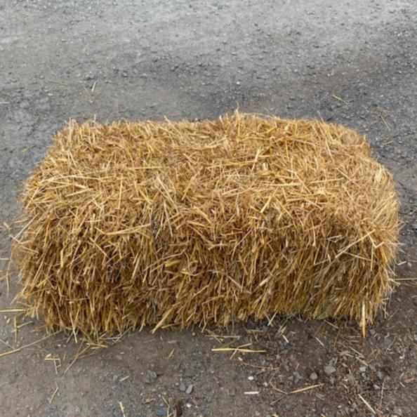 Bale of Straw Approximately 22" x 40"