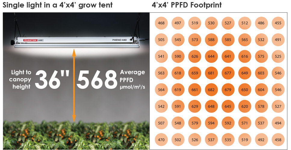 Phantom Pheno 440 LED Grow Light Fixture