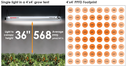 Phantom Pheno 440 LED Grow Light Fixture