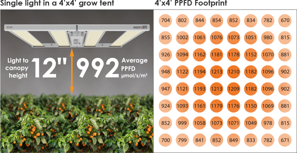 Phantom led best sale grow lights