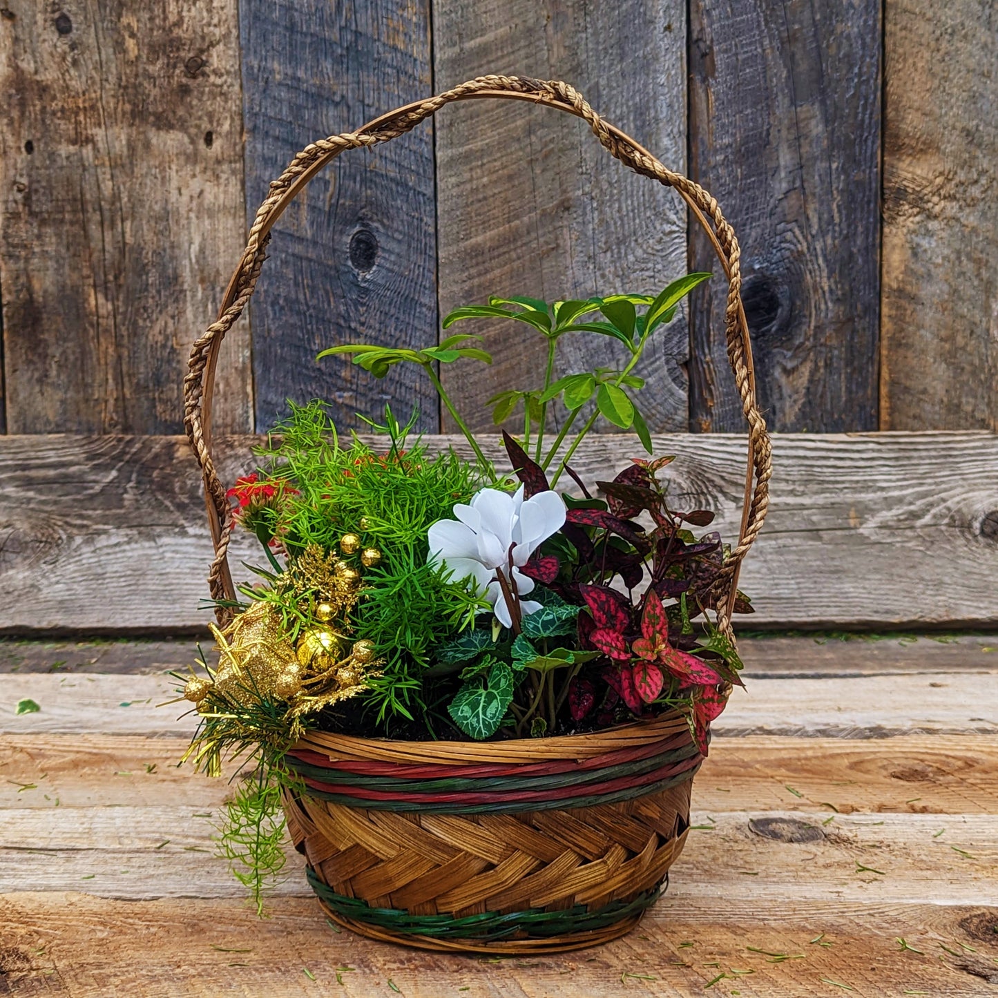 Christmas Basket Garden 8"