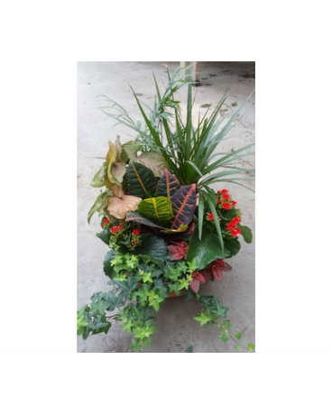 Basket Tropical Garden 12"