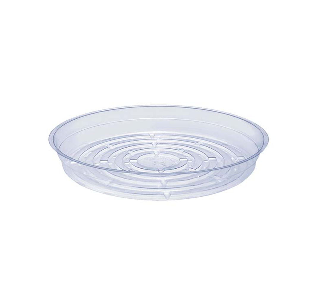 Clear Plastic Plant Saucer