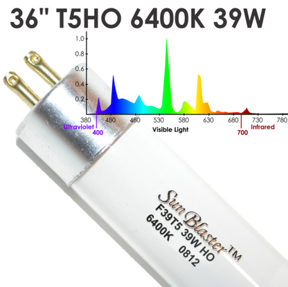 T5 Light 3' Replacement Bulb - 6400K Sunblaster
