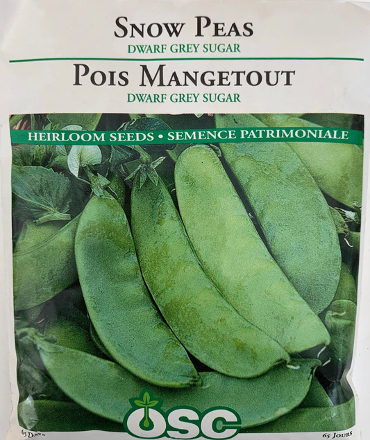OSC Seeds Pea Dwarf Grey Sugar Large Pack