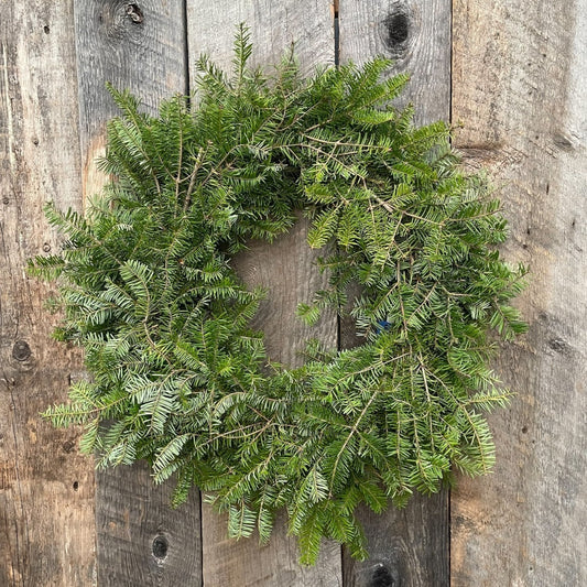 Wreath, 12" DF/SR Fresh (WG)