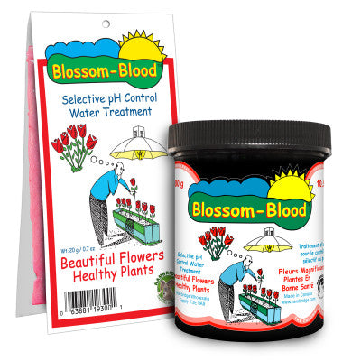 Blossom Blood 300g