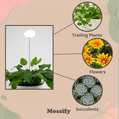Mossify Adjustable Clip-On LED Plant Light