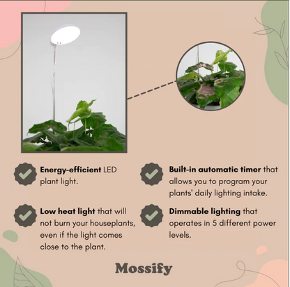 Mossify Adjustable Clip-On LED Plant Light