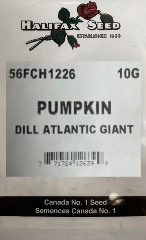 Halifax Seed Pumpkin Dill Atlantic Giant 10g