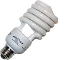 SunBlaster 13-watt 6400K CFL Grow Bulb